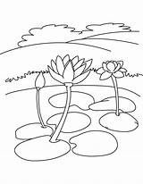 Lily Water Coloring Pages Flowers Flower Kids Color Getcolorings sketch template