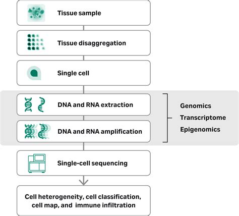 single cell sequencing expands genomics research horizons cytiva