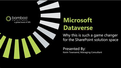 microsoft dataverse  changing    business bamboo solutions