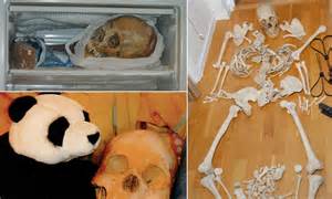swedish woman used skeletons for sex acts police find 100 body parts in her flat daily
