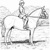 Cavallo Equestrian Colorare Sheets Cavalos Stall Cavaliere sketch template