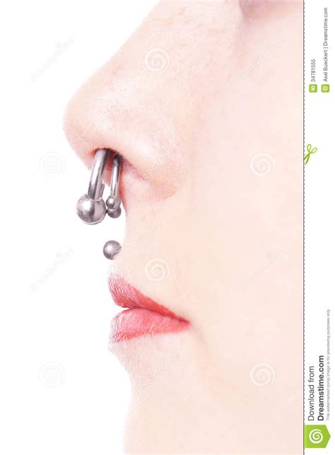 Septum And Medusa Piercings Stock Image Image Of Face