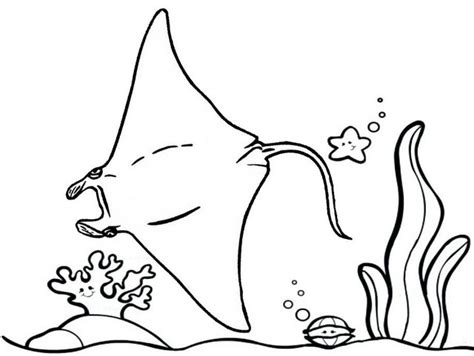 stingray coloring pages sketch coloring page