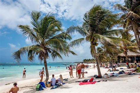 top tips  snorkel  sea turtles  akumal bay