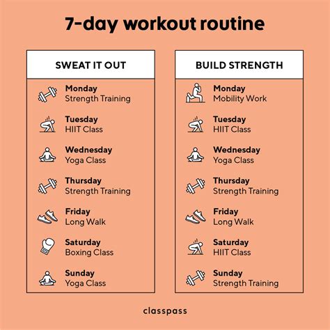 home gym exercise programme infoupdateorg