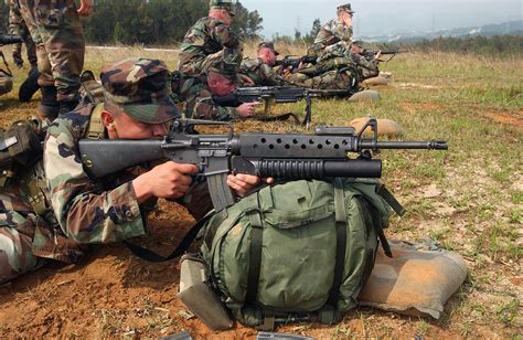 taiwans  rifle knockoff   successful  national interest