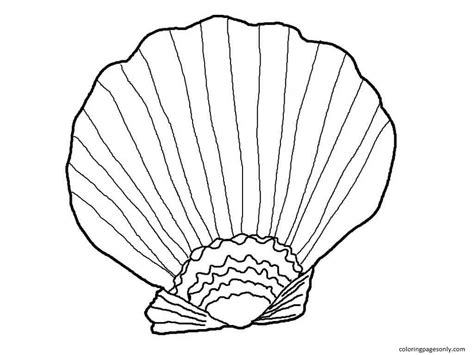 printable seashell coloring pages  adults