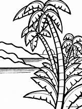 Palm Tree Coloring Pages Printable Color Trees sketch template