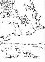 Coloring Lars Polar Bear Pages Little Popular sketch template