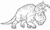 Patchi Walking Dinosaurs Pages Pachyrhinosaurus Coloring Dinosaur Printable sketch template