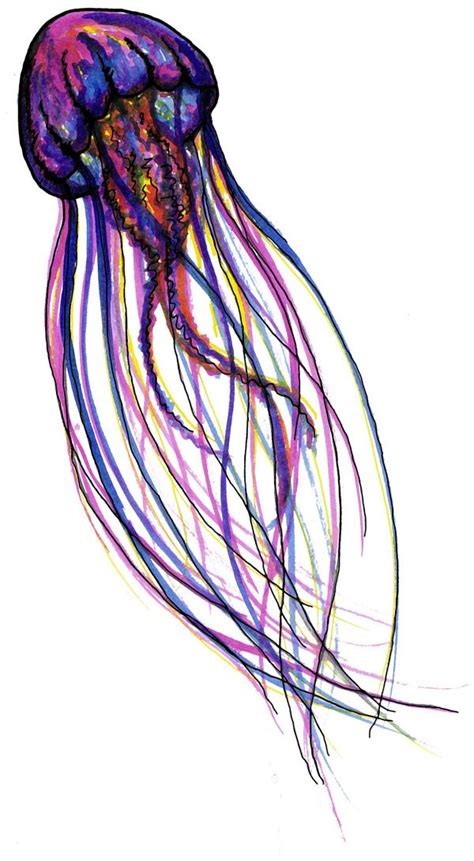 jellyfish  lydia dzioba  behance jellyfish tattoo watercolor