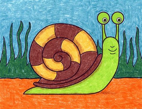easy   draw  snail tutorial  snail coloring page