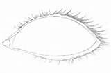Eyelashes Draw Eye Lengths Outer Pencil Various Corner 2b Few Dark Around Add sketch template