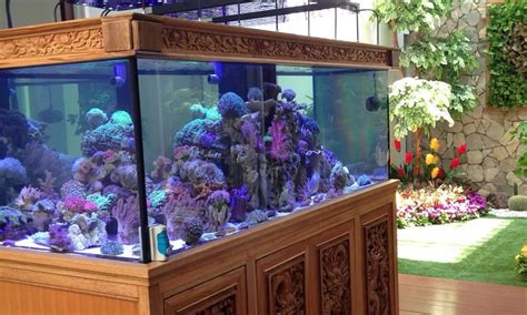 inspirasi desain aquarium  ruang tamu sederhana parboaboa