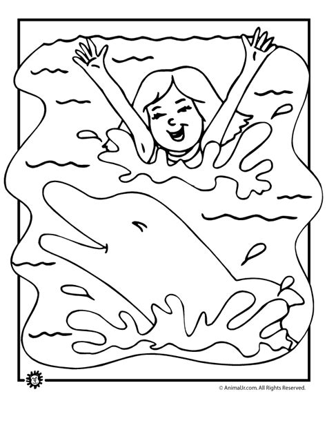 animal jr dolphin summer coloring page