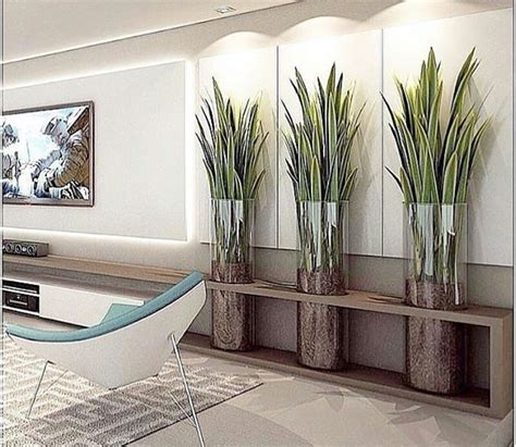 top interior designs  indoor plants examples