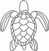 Turtle Outline Sea Coloring Shell Popular Patterns sketch template