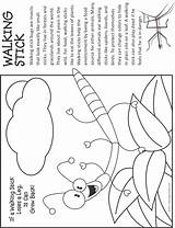 Stick Coloring Walking Bug Pages Fact Insects Kids Makingfriends Bugs Activities Insect Choose Board Badge Preschool sketch template