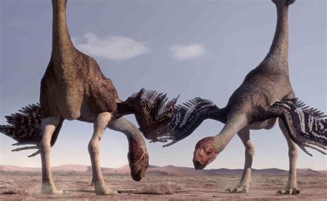 gigantoraptor bbc planet dinosaur wiki
