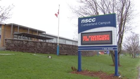 nscc sees increase   students  university experience cbc news
