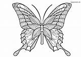 Schmetterling Papillon Coloriage Butterflies Colorare Erwachsene Mandala Adult Adultos Insectos Adulti Insetti Mariposas Schmetterlinge Motifs Papillons Mandalas Ausmalbild Insekten Pintar sketch template
