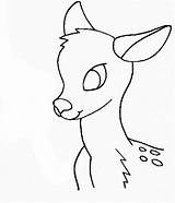 Deer Easy Coloring Head Pages Drawing Colouring Animals Outline Reindeer Buck Drawings Draw Kids Pencil Skull Enjoyable Leisure Totally Activity sketch template