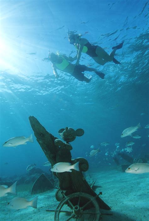 snorkel lagoon  castaway cay offers  acres  explore including