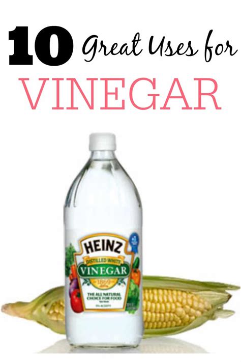 great   vinegar frugally blonde