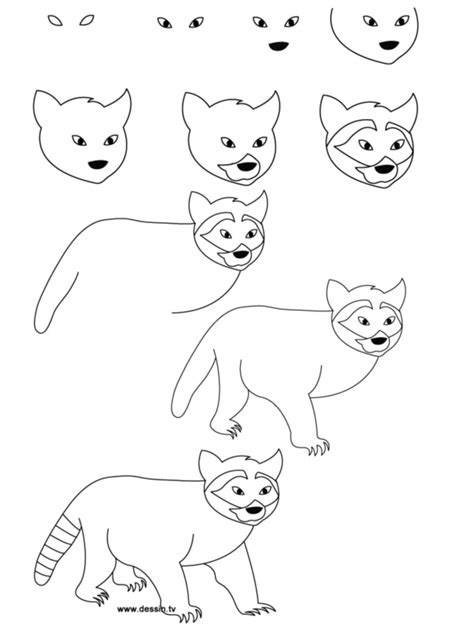 draw easy animals step  step image guide