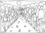 Forests sketch template