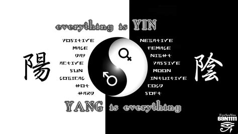 meaning of yang yang quotes quotesgram