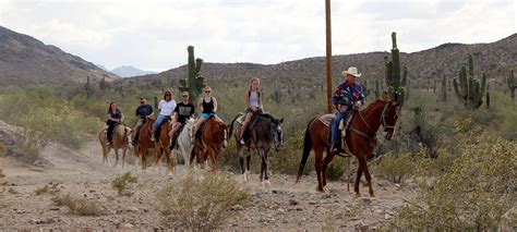 trail rides horse riding  arizona arizona horseback riding