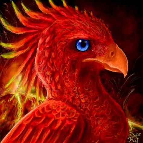 pin  pinner  mythicalcool stuff phoenix bird phoenix tattoo