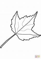Leaf Clipart Fall Maple Coloring Pages Leaves Clip Drawing Template Outline Colouring Leafs Line Cliparts Toronto Clipartpanda Clipartbest Letters Book sketch template