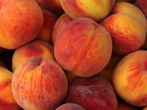 pick   peaches