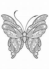Butterflies Coloring Kids Pages Color Beautiful Coloriage sketch template