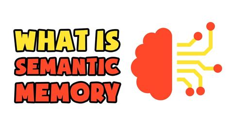 semantic memory explained   min youtube