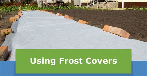 frost covers   protect plants  frost frostproof growers supply