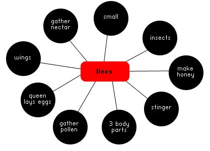 semantic webs  maps dhh resources  teachers umn