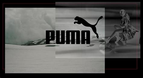 puma simplebookletcom