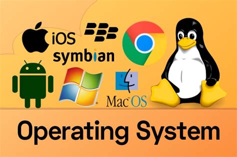 operating system  common os  version  windows