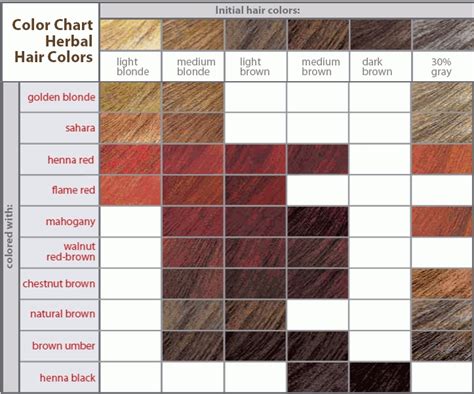 Brown Hair Color Shades How To Choose The Best Hair In Shades Of Hair