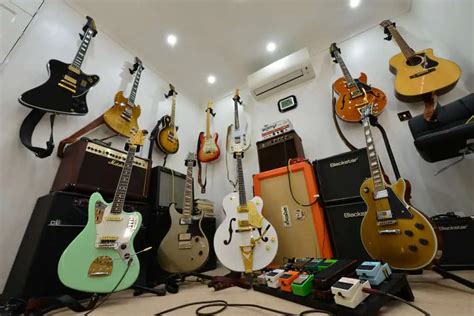 types  guitars   instrumentguys