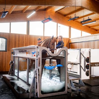 horse spa manufacturer helped  hurdle  business support