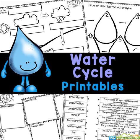 water cycle worksheet