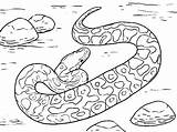 Coloring Pages Snake Viper Anaconda Dodge Rattlesnake Ninjago Color Getcolorings Diamondback Drawing Scary Getdrawings Printable Colorings sketch template