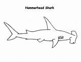 Shark Hammerhead Coloring Drawing Realistic Drawings Kids Sharks Easy Great Pages Draw Print Colouring Kidsplaycolor Color Designlooter Paintingvalley Choose Board sketch template