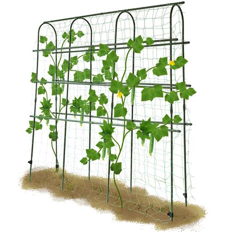 garden trellis  climbing plants metal plant support structure