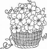Riscos Bordados Baskets Fleurs Saint раскраски Pirograbado Coloriages Riscosgraciosos Pintar Bordadas Familyfriendlywork цветочные sketch template