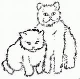 Katzen Genial Ausdrucken Abbild sketch template